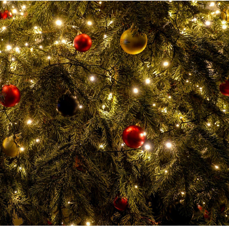 Bright Traditions: Christmas Trees with Lights